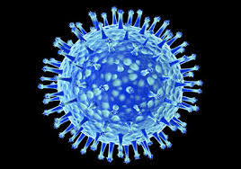 Virus de la grip