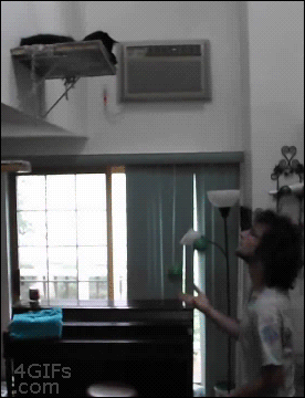 Cat-assisted juggling [video]
