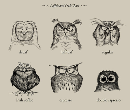 Caffeinated Owls, A Chart Illustrating Different Types of Coffee With Cute Owls