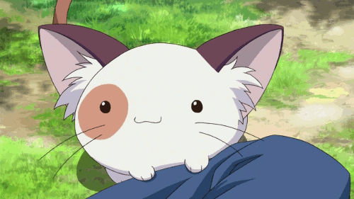 anime cat kawaii gif | WiffleGif