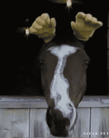 awesomephilia:

How to transform a horse into a moose (via)