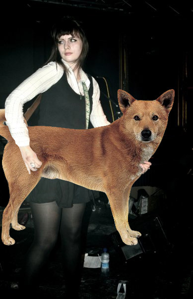BASS DOG. (Kelly from Johnny Foreigner)