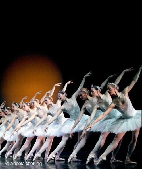 thedailyballet:

Dancers of Pacific Northwest Ballet in Kent Stowell’s Swan Lake.
Photo (c) Angela Sterling.
