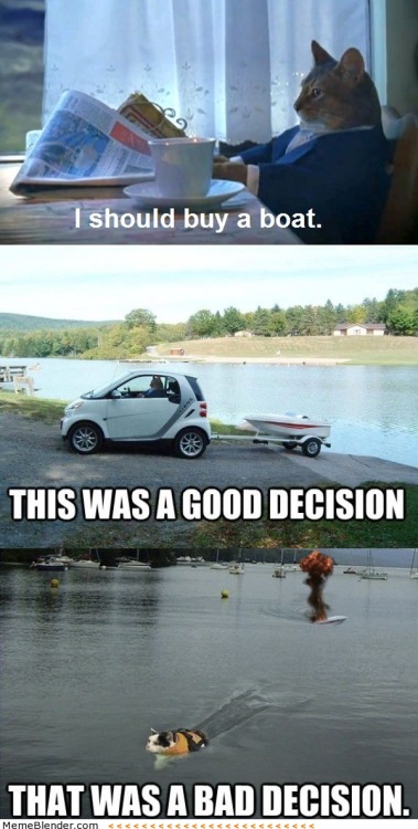 memeblender:

I should buy a boat
