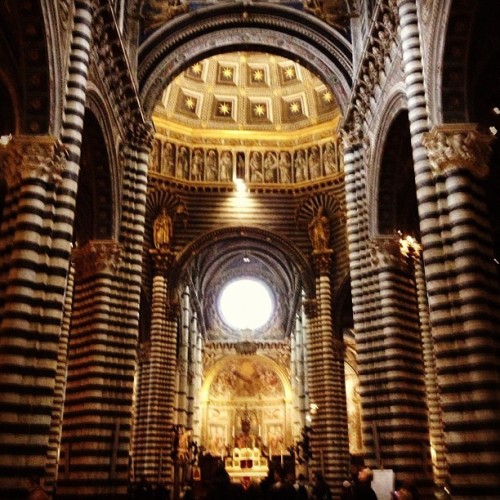 The Siena Duomo: jaw-dropping, awe-inspiring! #pneumawear #inspiredadventure www.pneumawear.com