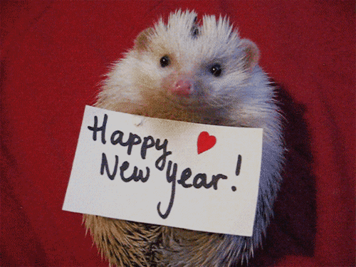Image result for happy new year animal gif