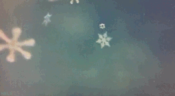 Christmas snow winter xmas cold Magic february snowy snowing january magical snowflakes snowflake winter gif snow gif snowing gif snowflake gif snowflakes gif dcember 