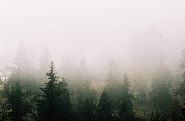 ANGELES CREST HWY by Kayla Varley on Flickr.