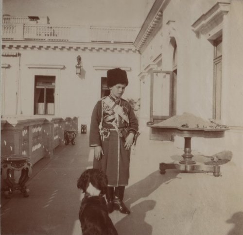 Tsarevich Alexei and his spaniel Joy: 1913. 