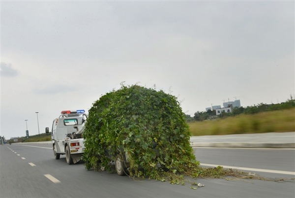 (via 22 Words | Abandoned car so thoroughly covered in vines they weren’t removed before towing it away [4 pics])
