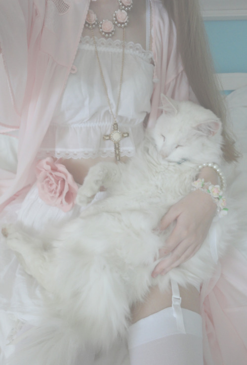 petitepasserine:  lil sleepy cult party cat (◡‿◡✿)