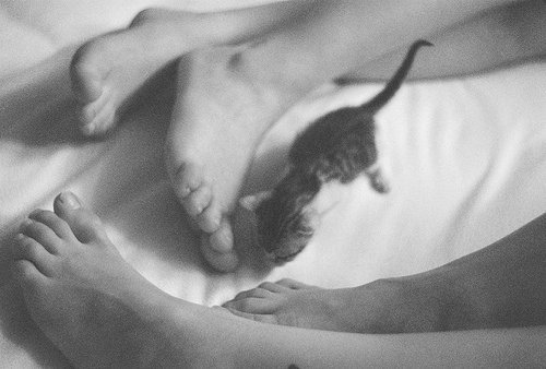Image result for  tumblr black and white legs