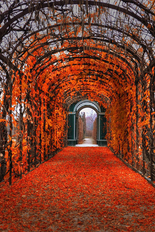 landscape photography - favorite-season: Autumn in Vienna by Kate...