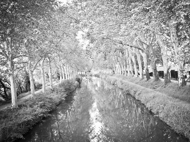 Canal du Midi B&amp;W on Flickr.Le Canal du midi un peu avant d’arriver sur Ramonville