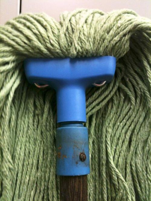 That’s one mean looking mop. 
