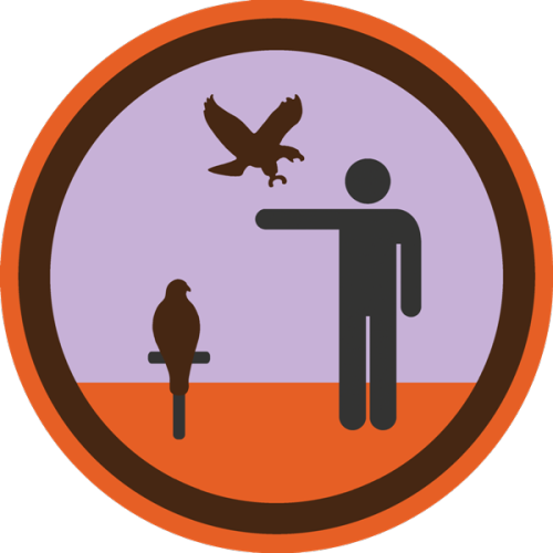 Lifescouts: Falconry Badge
If you have this badge, reblog it and share your story! Look through the notes to read other people’s stories.
Click here to buy this badge physically (ships worldwide).
Lifescouts is a badge-collecting community of people who share real-world experiences online.