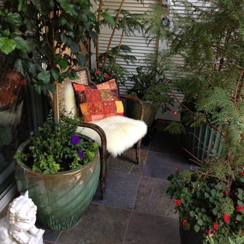 My little corner. Love my #garden #decor accents from @homegoods #homegoodshappy #homegoods #foodogs #outdoors #balcony #love #boho #bohemian #planters #pots #plants