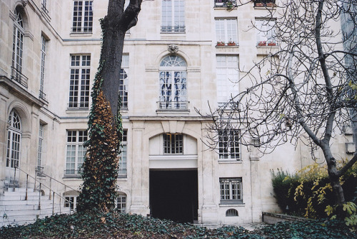 moanarch:

(via Paris, film | Flickr - Photo Sharing!)
