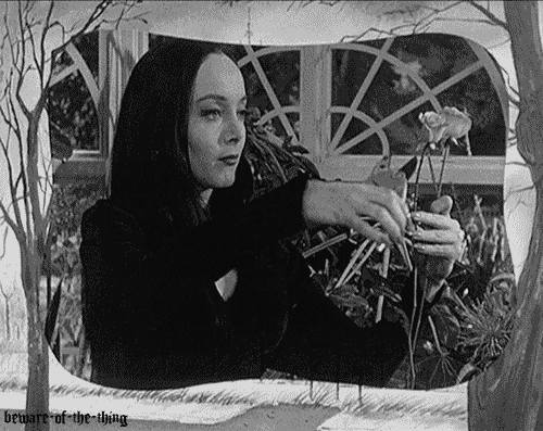 Addams family morticia cutting roses