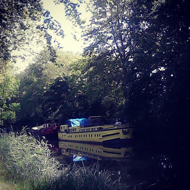Une péniche amarrée le long du canal du Midi #peniche #bateau #boat #canal #midi #ramonville #goodmorning #igerstoulouse #igersfrance