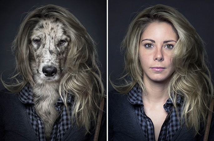 (via 22 Words | Dogs dress in their owners’ clothes, pose for professional portraits [8 pictures])