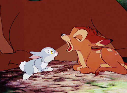 stuffuwanttosee:

Adorable animals — the cutest furry Disney friends http://bit.ly/12PFccN
