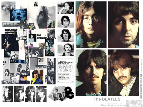 beatles wallpaper. Wallpaper- The Beatles #39;White