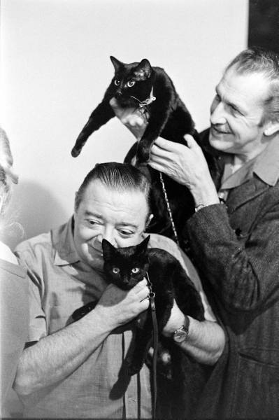 extranuance Peter Lorre and Vincent Price with black cats that cross their