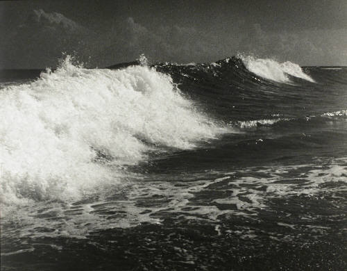 sealmaiden:  Harry Waddle Untitled [big ocean waves],  1946