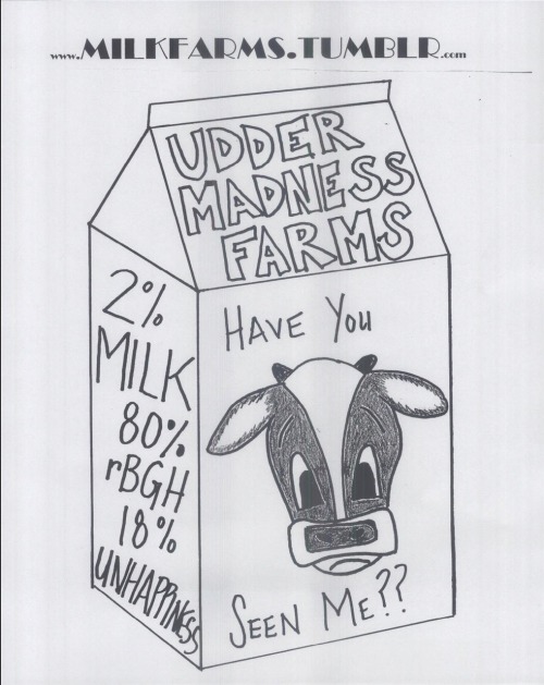 Wanted Milk Carton
