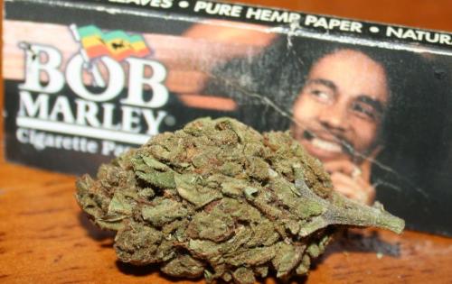 bob marley quotes about weed