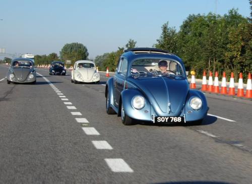 Another convoy this time of low beetles low slammed vw beetle car 