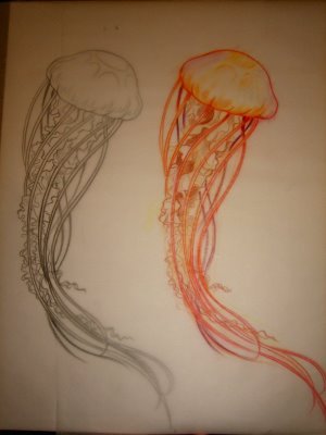 koi carp tattoo designs sleeve jellyfish tattoo