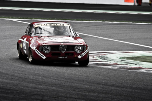 Alfa Romeo Giulia on the track with a proper stance even while cornering