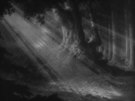 artemisdreaming:

extranuance:

alabaster1:

colettesaintyves:

A Midsummer Night’s Dream, Max Reinhardt & William Dieterle, 1935.



