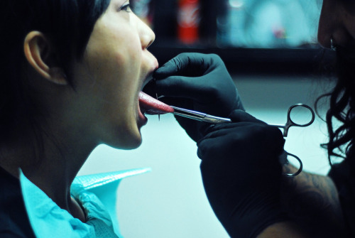 Piercing performed by Jesse Villarreal; Main Street Tattoo and Body Piercing