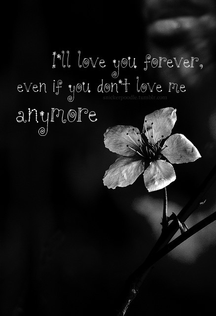 will love you forever quotes. 2011 i will love you forever