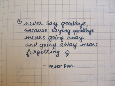 Nunca diga adeus, porque dizendo adeus significa indo embora e indo embora significa esquecendo.
(Peter Pan)