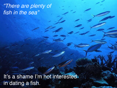 ”'There are plenty of fish in the sea'…too bad I'm not interested in dating 