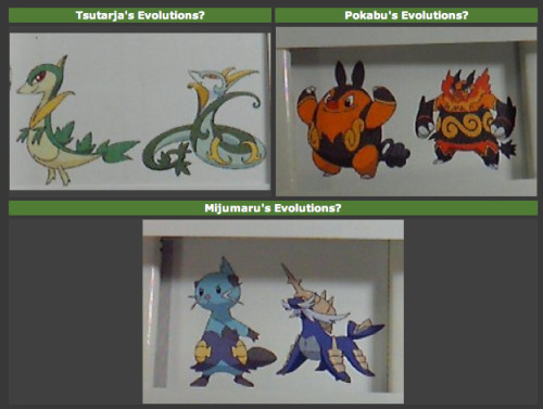 thenerdiewordie: Unconfirmed evolutions of Pokemon Black and White starters.