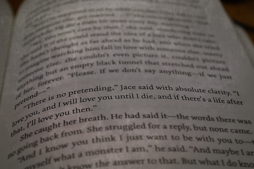  City of Glass Jace Wayland Quote