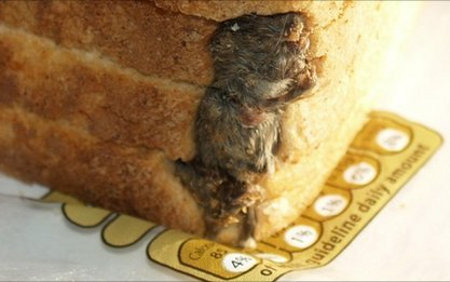 I’ll Never Eat Another Sandwich: British Food Supplier Fined $27K For “Mickey” Bread - Geekologie