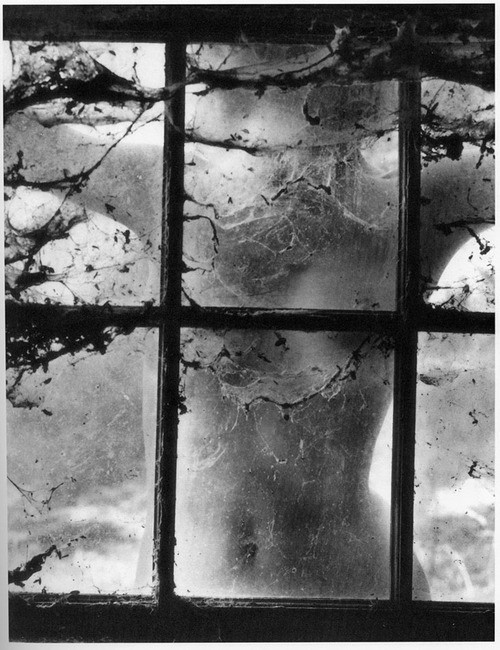 luzfosca:   Wynn Bullock - Nude Behind Cobwebbed Window, 1955  Re-Reblog