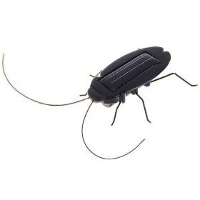 Amazon.com: Solar Powered Cockroach- Educational Toy: Toys & Games