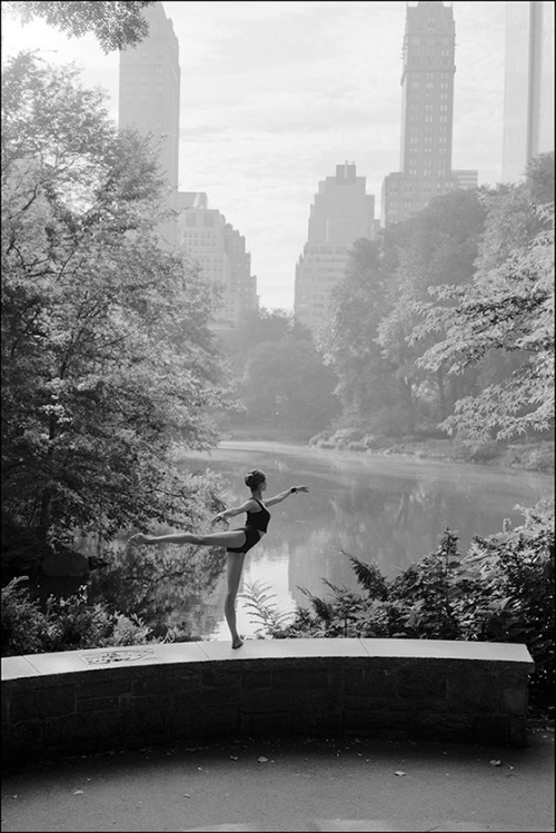 Alys Central Park Become a fan of the Ballerina Project on Facebook