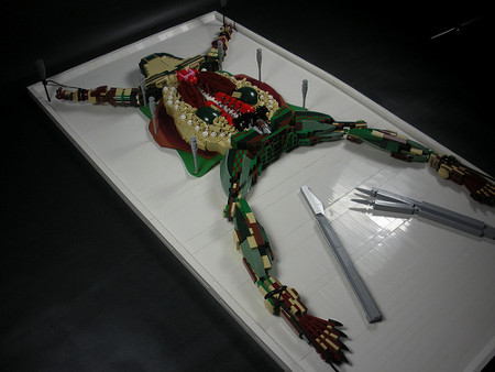 Kermit? Noooooooo!!: LEGO Frog Dissection - Geekologie