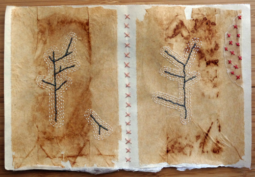 Page from the Book of Broken Branches by Patti Roberts-Pizzuto
http://missouribendstudio.blogspot.com/2010/10/sticks-and-stillness.html