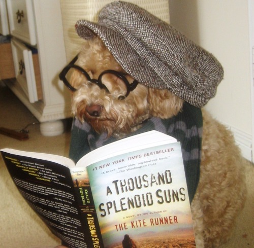 penny fears kindles because “then how are people going to know what you’re reading?”
[via kaitlyn k]