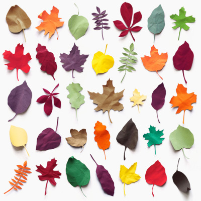 juneberry:

A collection of paper leaves.
