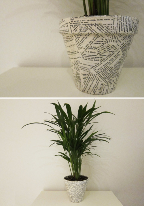 hrrrthrrr:  DIY: Wordy Decoupage Planter So this project only took me about an hour to do.  You can use pretty much anything to do this (photos, newspaper, magazines, paycheck stubs, junk mail, homework you never finished).  All you need is a pot, paper, a paintbrush, mod podge, and a plant.  Just cut your paper into strips and collage them all over your surface.  Once you have it all covered you just need to do a once over with your mod podge to seal it all.  Throw a plant in it and you are done! Total Cost: $20 (including the plant) This was too easy and I love the results! …Although I’m now missing large chunks of my thesaurus.  